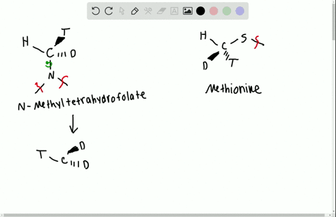 the-amino-acid-methionine-is-formed-by-a-methylation-reaction-of-homocysteine-with-n-methyltetrahydr