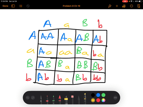 crosses-involving-parents-that-are-heterozygous-for-two-traits-a-a-b-b-times-a-a-b-b-lead-to-offspri