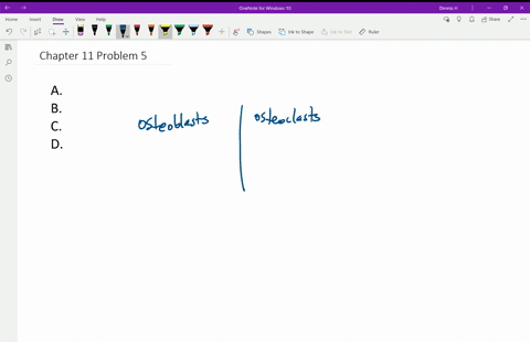 which-of-the-following-cells-is-correctly-coupled-with-its-definition-a-which-of-the-following-cells