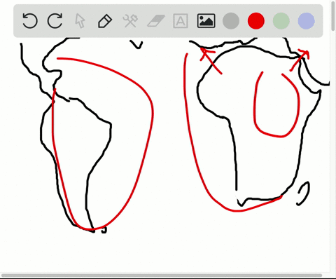 new-world-monkeys-___-a-lack-a-tail-b-are-bipedal-c-live-only-in-africa-d-are-dry-nosed-primates-e-a