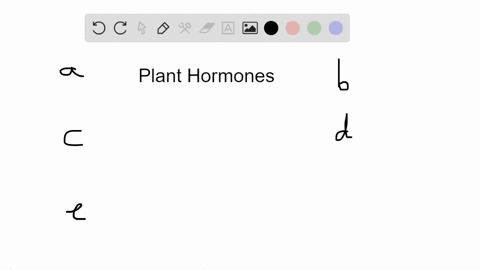 which-is-the-correct-pairing-of-a-plant-hormone-and-its-function-a-salicylic-acid-triggers-synthes-2