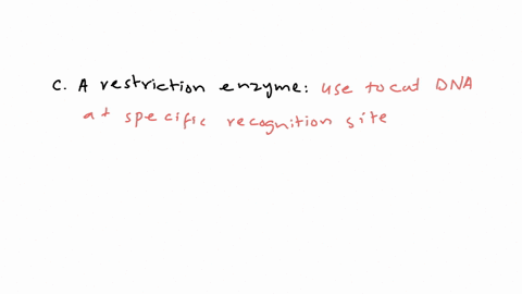 which-of-the-enzymes-from-the-following-list-would-you-need-to-make-a-recombinant-dna-molecule-what-