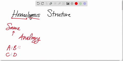 Solved:all The Following Are True Of Homologous Structures Except (A) They  Demonstrate Common Ancestry (B) An Example Is The Wing Of The Bat And A  Person�s Arm (C) An Example Is The Solved:all The Following Are True Of Homologous Structures Except (A) They  Demonstrate Common Ancestry (B) An Example Is The Wing Of The Bat And A  Person�s Arm (C) An Example Is The