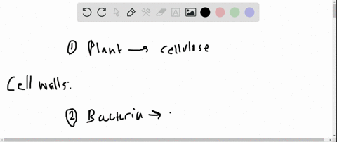 unlike-plant-cell-walls-that-contain-cellulose-bacterial-cell-walls-are-composed-of-________