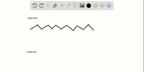 draw-the-line-angle-formula-for-each-of-the-following-fatty-acids-a-stearic-acid-b-linoleic-acid