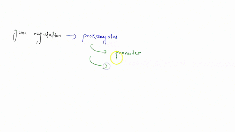 which-of-the-following-is-characteristic-of-genes-and-gene-regulation-in-eukaryotes-but-not-bacteria