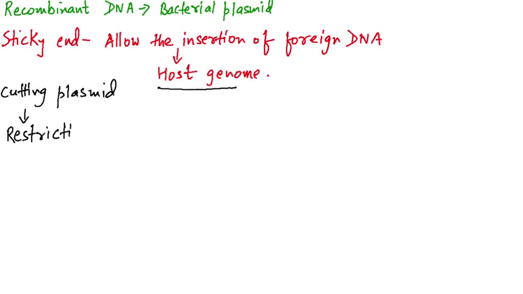 solved-in-the-formation-of-recombinant-dna-a-restriction-endonuclease