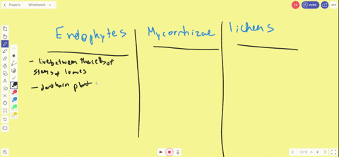 compare-and-contrast-endophytes-mycorrhizae-and-lichens