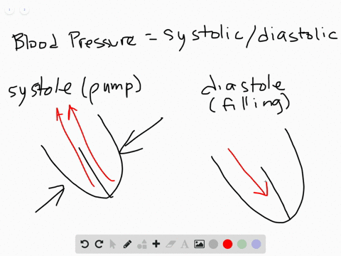 Chapter 23, Circulation Video Solutions, Campbell Biology Concepts ...