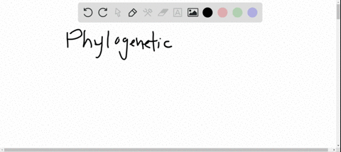 phylogenetic-trees-should-be-viewed-as-a-true-genealogical-relationships-of-species-b-the-result-of-