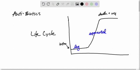 during-which-phase-would-penicillin-an-antibiotic-that-inhibits-cell-wall-synthesis-be-most-effectiv