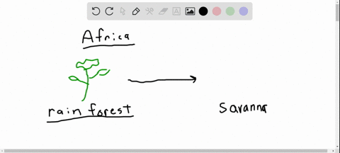 why-might-it-be-unlikely-for-a-rain-forest-plant-in-central-africa-to-have-descendants-that-colonize