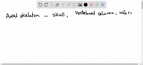 which-of-the-following-is-not-part-of-the-axial-skeleton-a-skull-b-vertebral-column-c-pelvic-girdle-