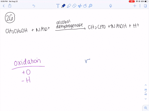 SOLVED: The consumption of alcohol (ethanol), especially after periods of strenuous activity O after not eating for several hours, results in a deficiency of glucose in the blood, condition known as hypoglycemia. SOLVED: The consumption of alcohol (ethanol), especially after periods of strenuous activity O after not eating for several hours, results in a deficiency of glucose in the blood, condition known as hypoglycemia.