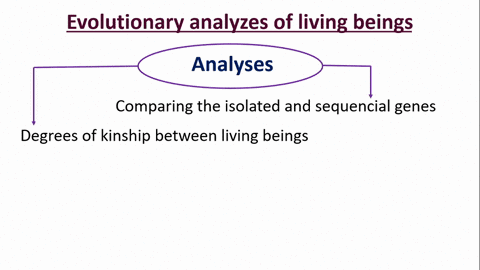 biologists-can-now-isolate-genes-from-organisms-and-decode-their-dna-when-the-nucleotide-sequences-f