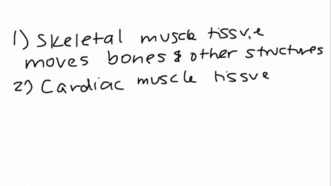 what-are-the-differences-between-the-three-separate-types-of-muscle-tissue-2