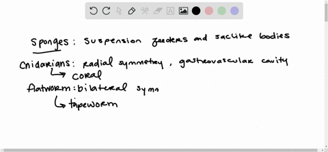 the-table-below-lists-the-common-names-of-the-nine-animal-phyla-surveyed-in-this-chapter-for-each--2