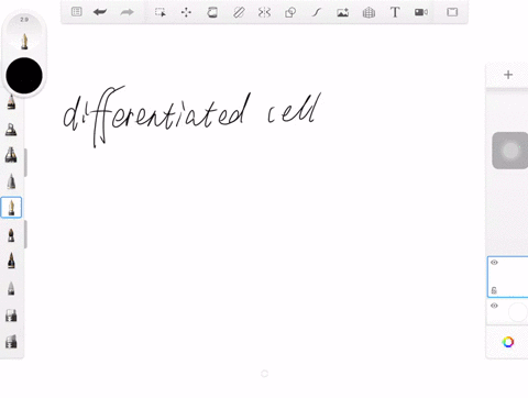 differentiated-cells-of-an-organism-contain-the-same-genes-among-the-few-exceptions-to-this-rule-a-3