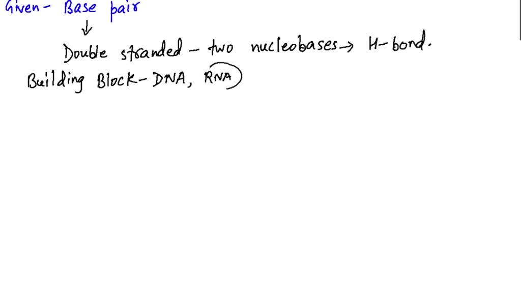 SOLVED(a) What is meant by the term base pairing? (b) Which bases pair