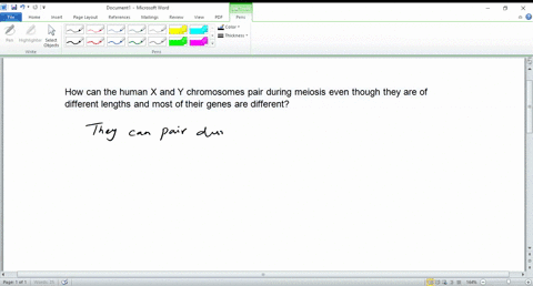 how-can-the-human-x-and-y-chromosomes-pair-during-meiosis-even-though-they-are-of-different-lengths-