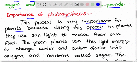 SOLVED:What is the importance of photosynthesis to plants and animals?