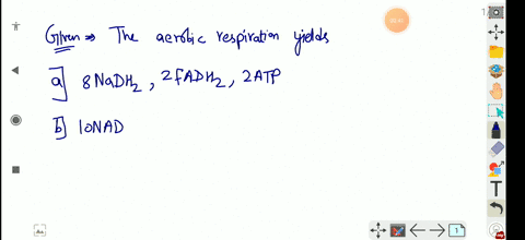 the-aerobic-respiration-yields-a-8-mathrmnadh_2-2-mathrmfadh_2-2-mathrmatp-b-10-mathrmnadh_2-2-mathr
