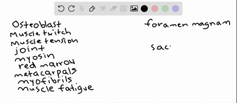 match-the-words-with-their-defining-feature-_________-osteoblast-_________-muscle-twitch-_________-m