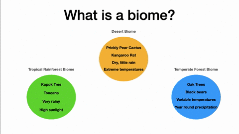 what-two-factors-are-most-important-in-biome-distribution-a-temperature-and-latitude-b-rainfall-and-