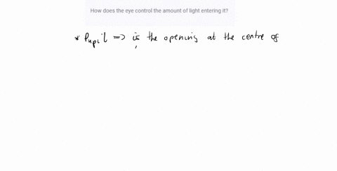 how-does-the-eye-control-the-amount-of-light-entering-it