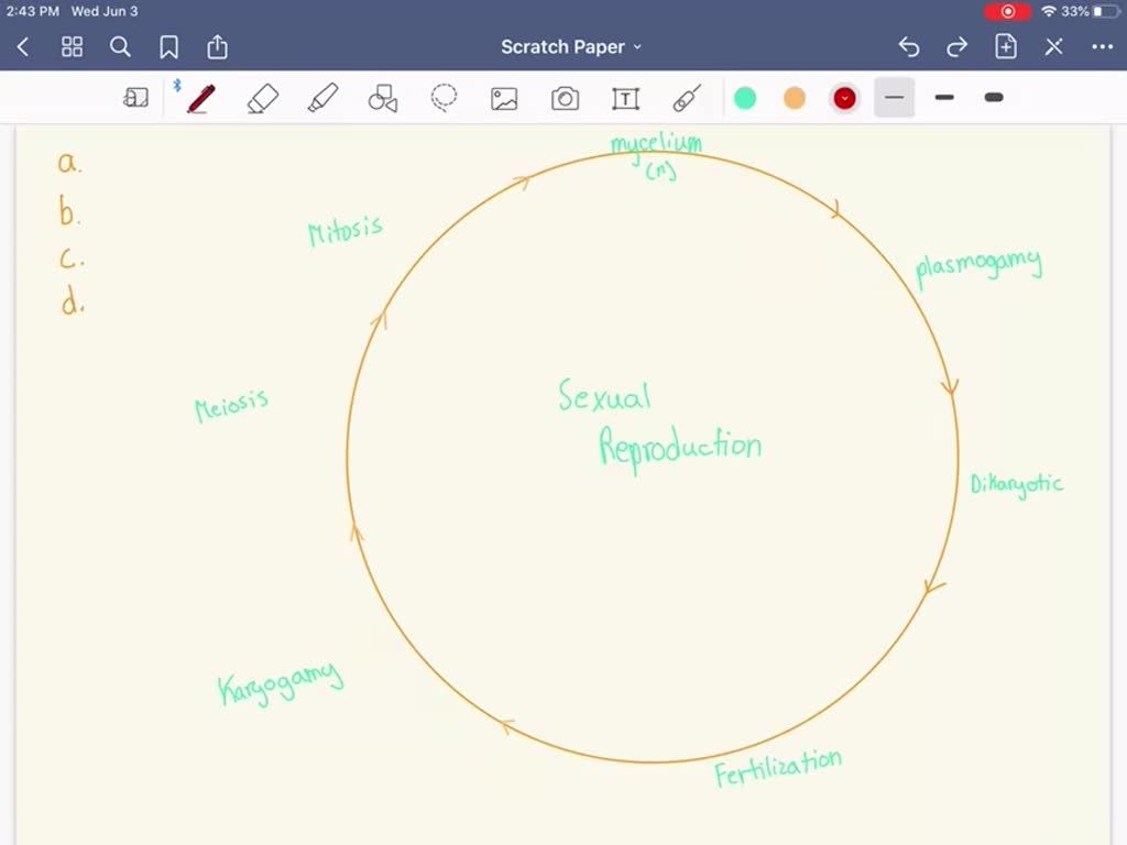 What does it mean to say that a hypha is dikaryotic?
a. Two nuclei fuse during sexual reproduction to form a zygote.
b. Two independent nuclei, derived from different individuals, are present in each cell.
c. The nucleus is diploid or polyploid-not haploid.
d. It is extremely highly branched, which increases its surface area and thus absorptive capacity.