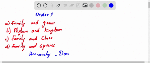 in-the-hierarchy-of-classification-the-order-is-present-between-a-family-and-genus-b-phylum-and-king