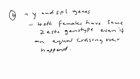 the-recessive-x-linked-zl-mutation-of-the-drosophila-gene-zeste-z-can-produce-a-yellow-zeste-eye-col