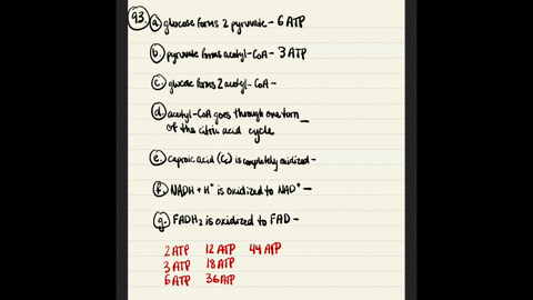 the-following-groups-of-questions-are-related-to-the-topics-in-this-chapter-however-they-do-not-a-10