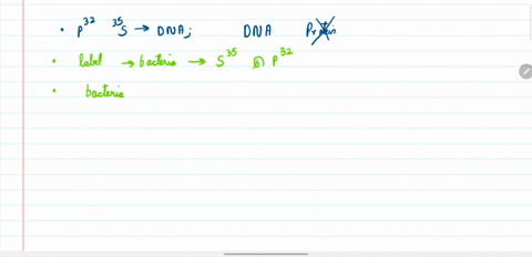 how-might-12-mathrmp-and-35-mathrms-be-used-to-demonstrate-that-the-tran-sforming-principle-is-dna-b