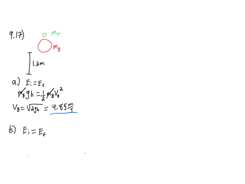 a-tennis-ball-of-mass-570-mathrmg-is-held-just-above-a-basketball-of-mass-590-mathrmg-as-shown-in-fi