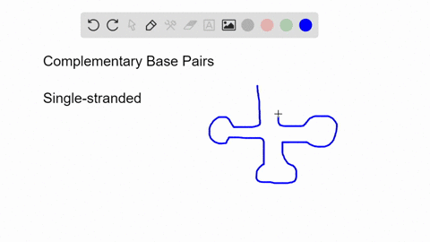 how-do-complementary-base-pairs-contribute-to-intramolecular-base-pairing-within-an-rna-molecule-2