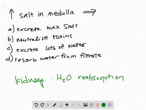 as-filtrate-passes-through-the-loop-of-henle-salt-is-reabsorbed-and-concentrated-in-the-interstiti-2