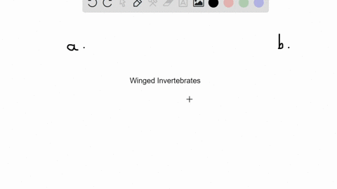 the-________-include-the-only-winged-invertebrates-a-cnidarians-b-echinoderms-c-arthropods-d-mollusk
