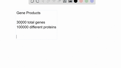 the-human-genome-project-showed-that-human-dna-is-not-considerably-bigger-than-much-simpler-organi-3