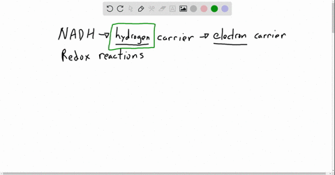 in-a-chemical-reaction-nadh-is-converted-to-mathrmnadmathrmh-we-say-that-nadh-has-been-a-reduced-b-p