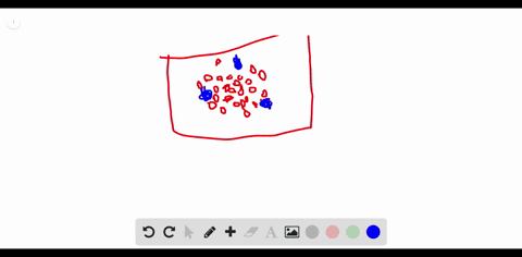 the-organ-that-contains-red-pulp-which-filters-the-blood-and-white-pulp-where-lymphocytes-respond-to