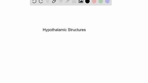 what-central-fiber-tract-connects-forebrain-and-brain-stem-structures-with-the-hypothalamus-a-cardia