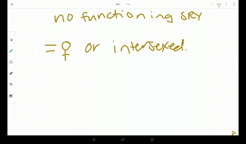 explain-what-would-occur-during-fetal-development-to-an-xy-individual-with-a-mutation-causing-a-nonf