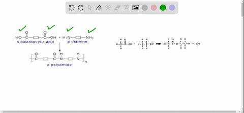 why-is-a-molecule-with-only-one-functional-group-unable-to-undergo-a-condensation-reaction-to-form-a
