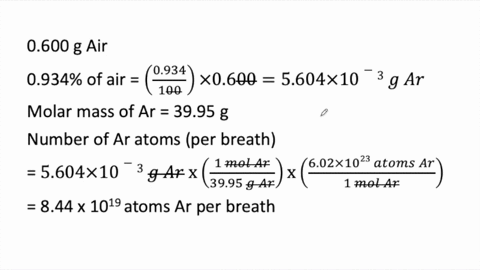 respiration-air-contains-several-gases-when-resting-every-breath-you-take-contains-approximately-060