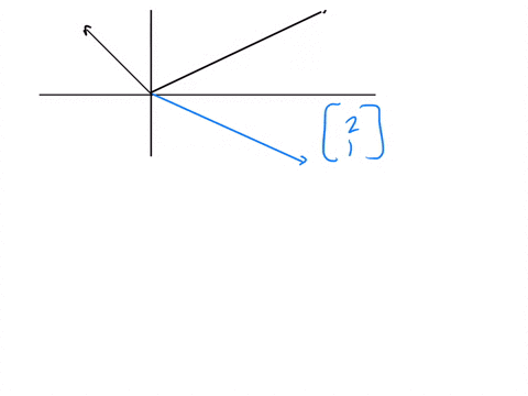 the-two-column-vectors-vecv_1-and-vecv_2-of-a-2-times-2-matrix-a-are-shown-in-the-accompanying-ske-2