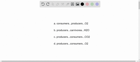 plants-__________-provide-energy-and-nutrients-to-animals-__________-in-turn-animals-supply-plants-w