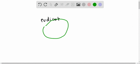 all-of-the-vascular-bundles-inside-a-typical________-arranged-in-a-ring-a-monocot-stem-b-eudicot-ste