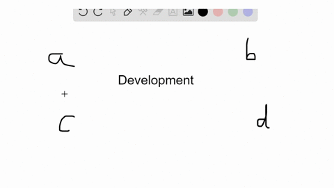 identify-the-stage-of-embryonic-development-in-the-key-that-matches-the-description-a-cleavage-b-g-3