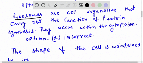 a-human-nerve-cell-that-has-an-abnormal-shape-most-likely-has-a-defective-a-cell-wall-b-cytoskeleton